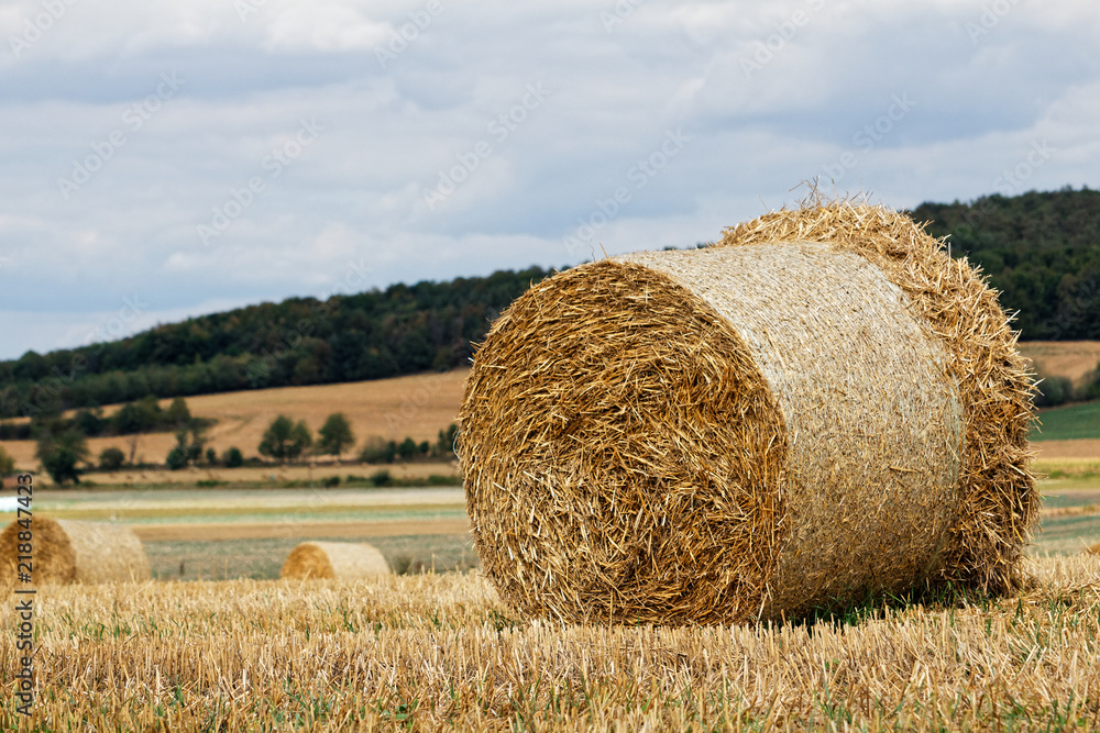 Straw bales on the field - beautiful countryside Straw bales on the field - beautiful countryside