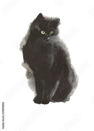 Black cat wild animal in a watercolor style isolated. Full name of