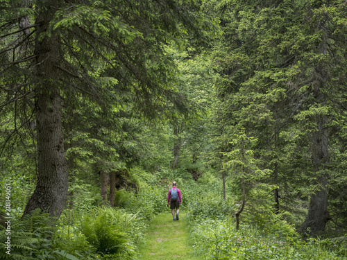 trekking in Mocheni Valey in Trentino