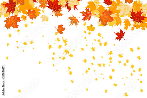 Fall leaves isolated