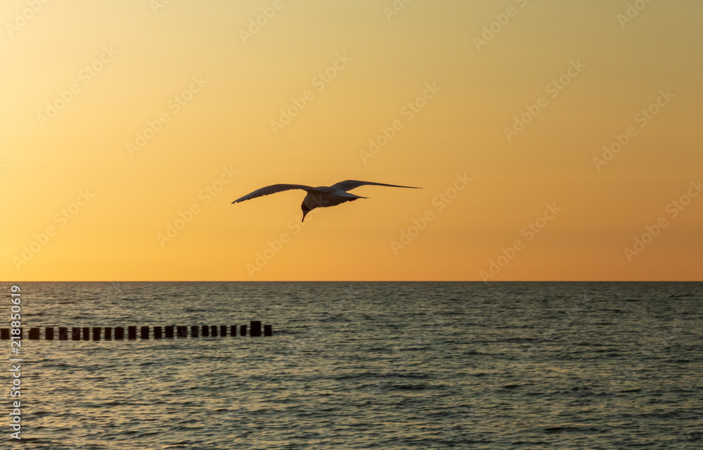 Fototapeta premium Abenddämmerung an der See