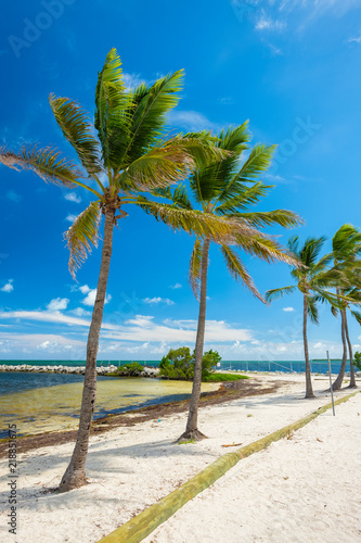 Scenic Florida Keys