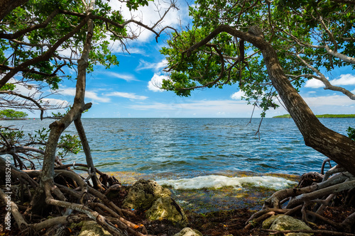 Scenic Florida Keys