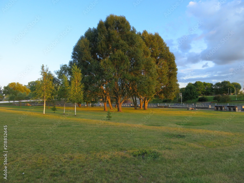 Landscape in the park at sunset sun with blue sky Landscape in the park at sunset sun with blue sky