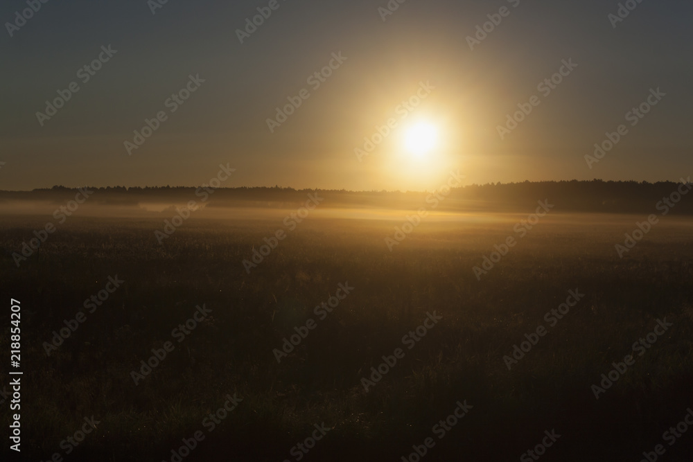 foggy morning, sunrise
