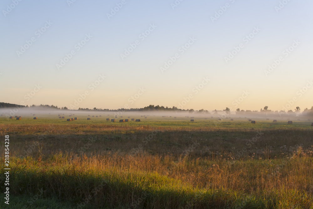 foggy morning, sunrise foggy morning, sunrise