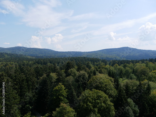 Bayerischer Wald