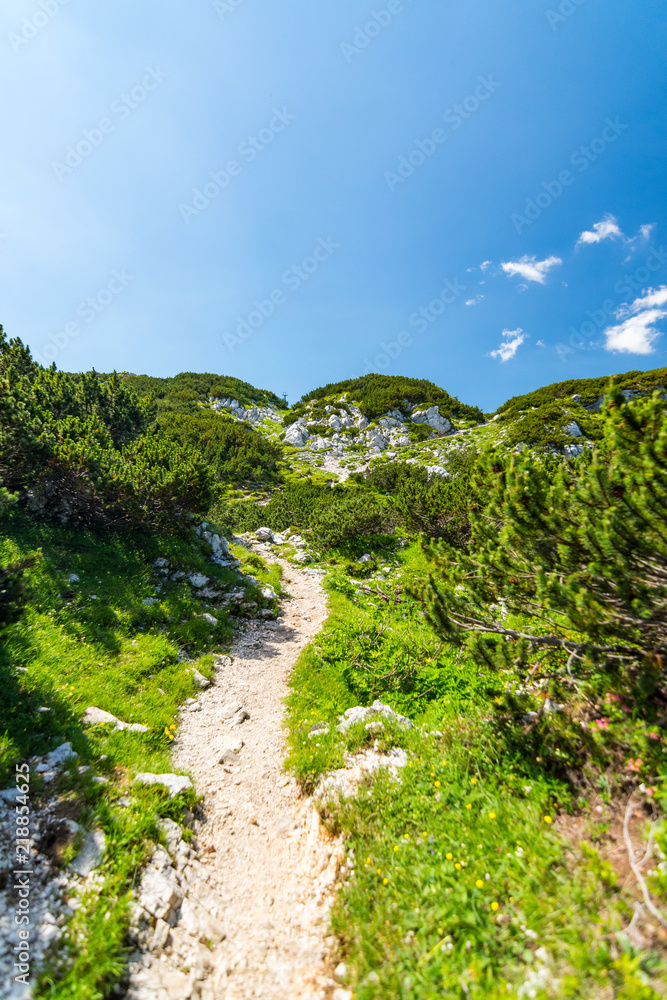 Tourist path in Slovenia mountains near Vogel. Path of top of mountain, green grass, tress, blue sky. Hiking in Europe. Triglav national park, Julian Alps.