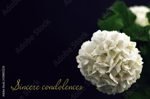 Photography Sincere condolences. Condolence card