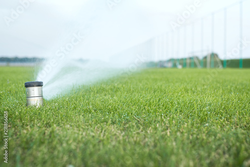automatic watering of the football field