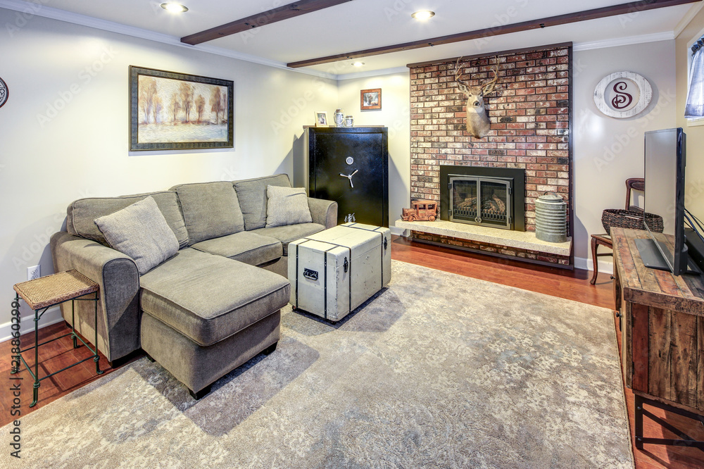 Fotografie Basement living room space with fireplace