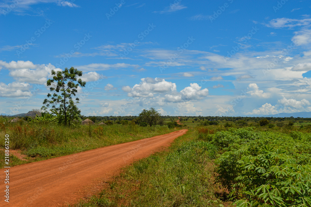 Braune Sand-Straße durch die Landschaft; Uganda