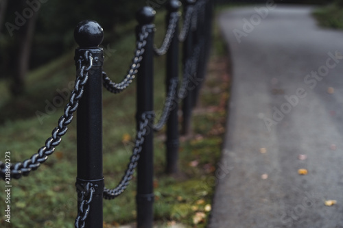 Moody Photo of the Road in a Park, Between Woods - Desaturated, Vintage Look