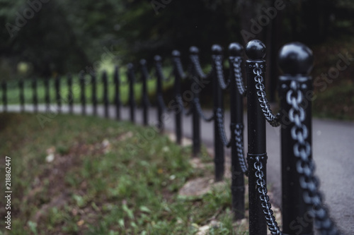 Moody Photo of the Road in a Park, Between Woods - Desaturated, Vintage Look