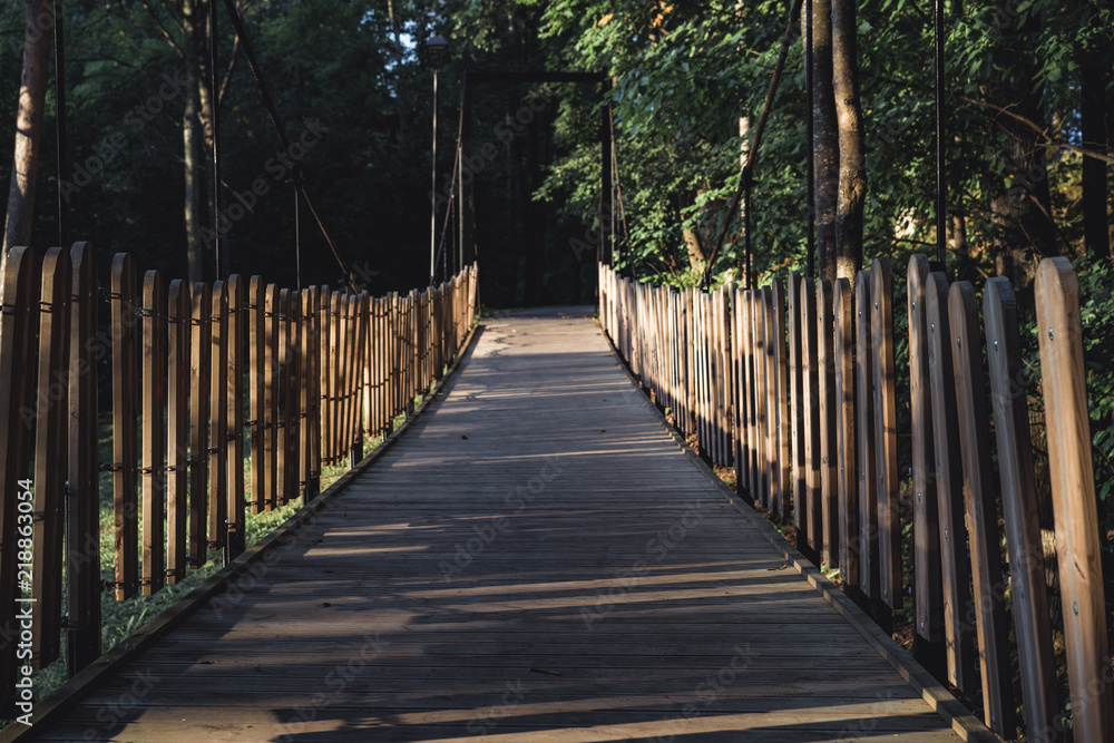 Moody Photo of the Wodden Bridge in a Park, Between Woods - Desaturated, Vintage Look Moody Photo of the Wodden Bridge in a Park, Between Woods - Desaturated, Vintage Look