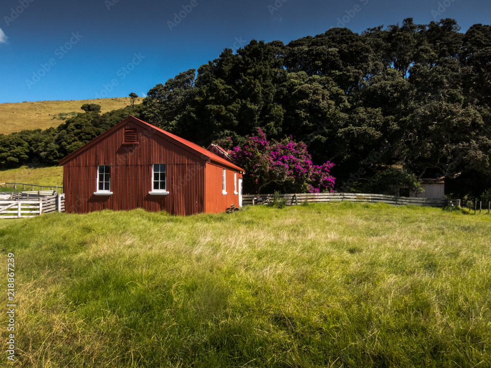 Fototapeta premium New Zealand Hut