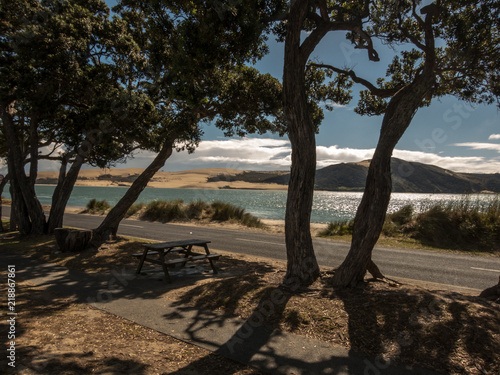 New Zealand Landscape