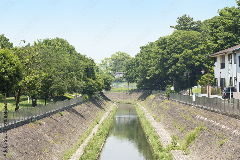 神田川の支流の善福寺川（東京都杉並区）