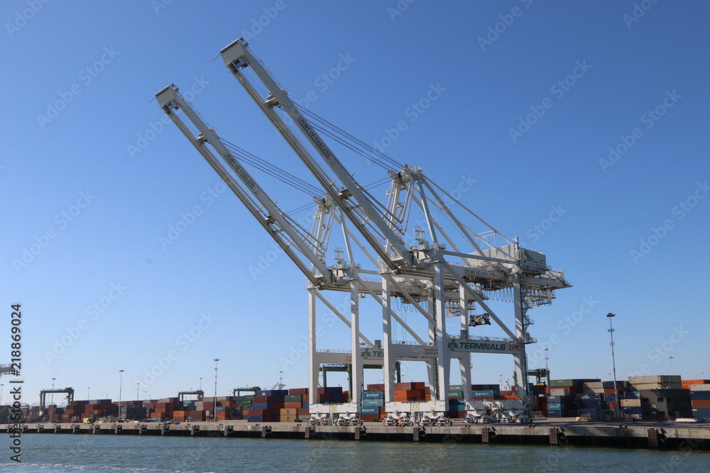 Cranes at the Port