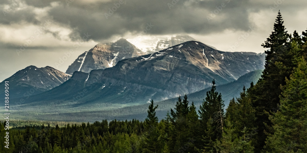 Icefields Parkway View 32