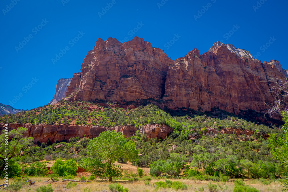 Fototapeta premium Beautiful outdoor view of huge mountains in Zion National Park, Utah, USA