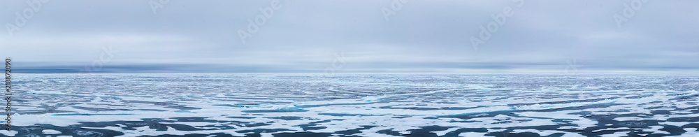 Ice edge at 82 41.01 degrees North from Svalbard.