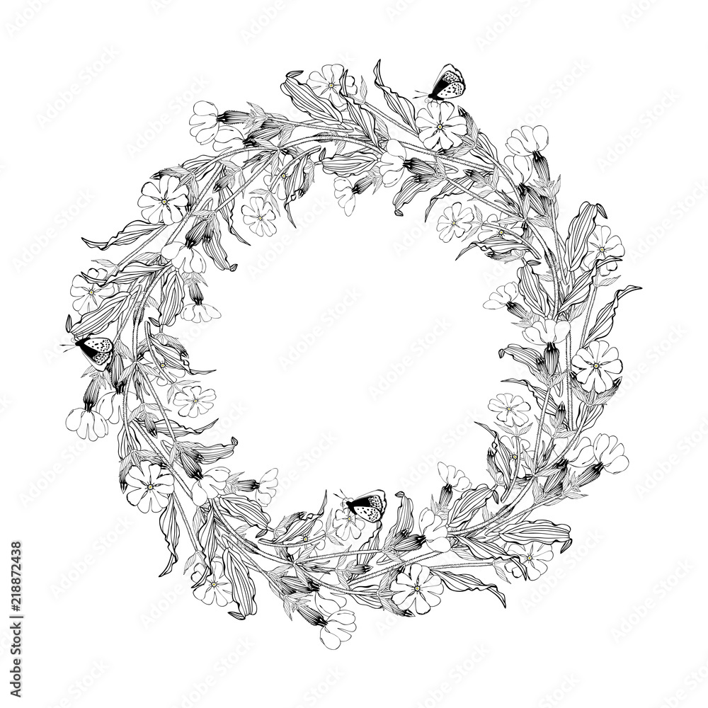 Obraz premium White campion flowers round wreath on white