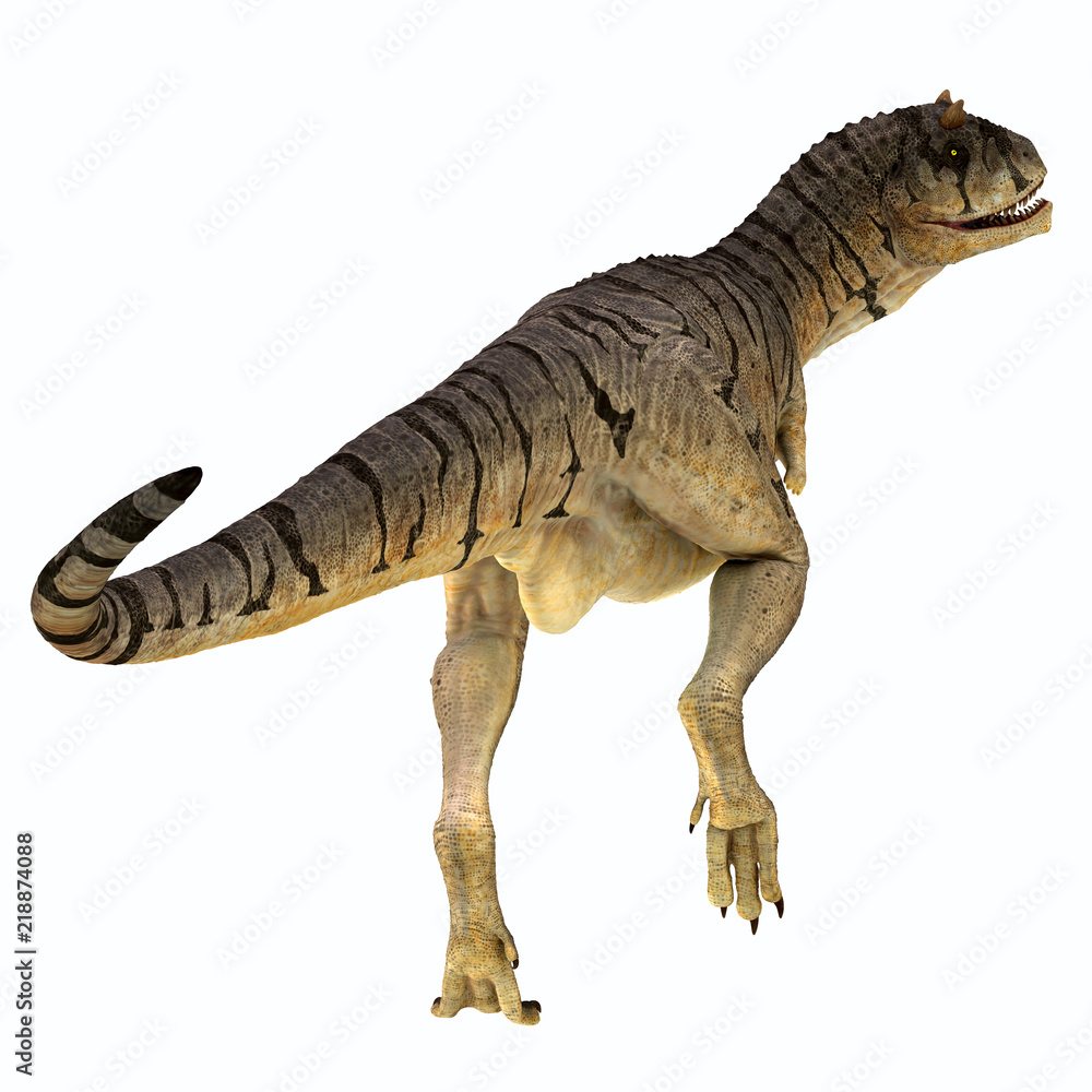 Naklejka premium Carnotaurus sastrei Dinosaur Tail - Carnotaurus był mięsożernym dinozaurem teropodem, który żył w Patagonii w Argentynie w okresie kredy.