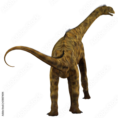 Atlasaurus Dinosaur Tail - Atlasaurus was a herbivorous sauropod dinosaur that lived in Morocco  North Africa during the Jurassic Period.