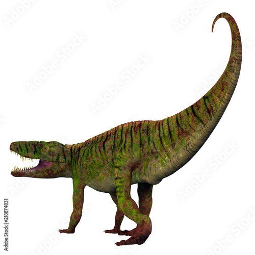 Batrachotomus Dinosaur Tail - Batrachotomus was a carnivorous archosaur dinosaur that lived in Germany during the Triassic Period.