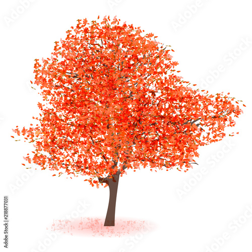 紅葉　もみじ　秋　アイコン