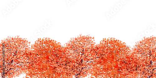 紅葉　もみじ　秋　背景 