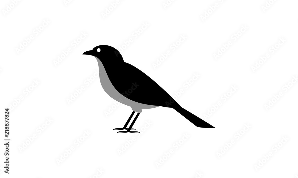 Obraz premium Bird logo template