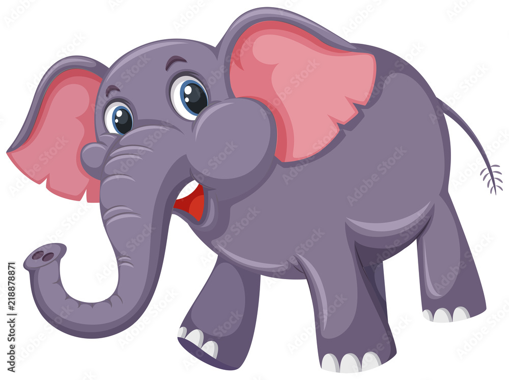 A cute elephant on white background