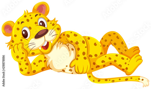 A cute leopard on white background