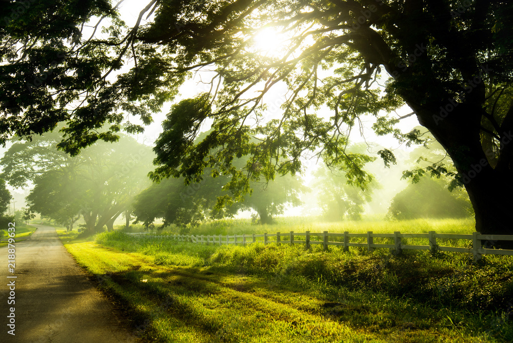 Obraz premium Sunrise Morning Light in the winter of Thailand.