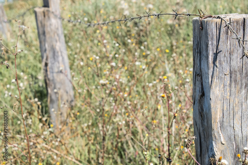 Barbed wire rod stretched through a wooden pole against a background of defocused wildflowers