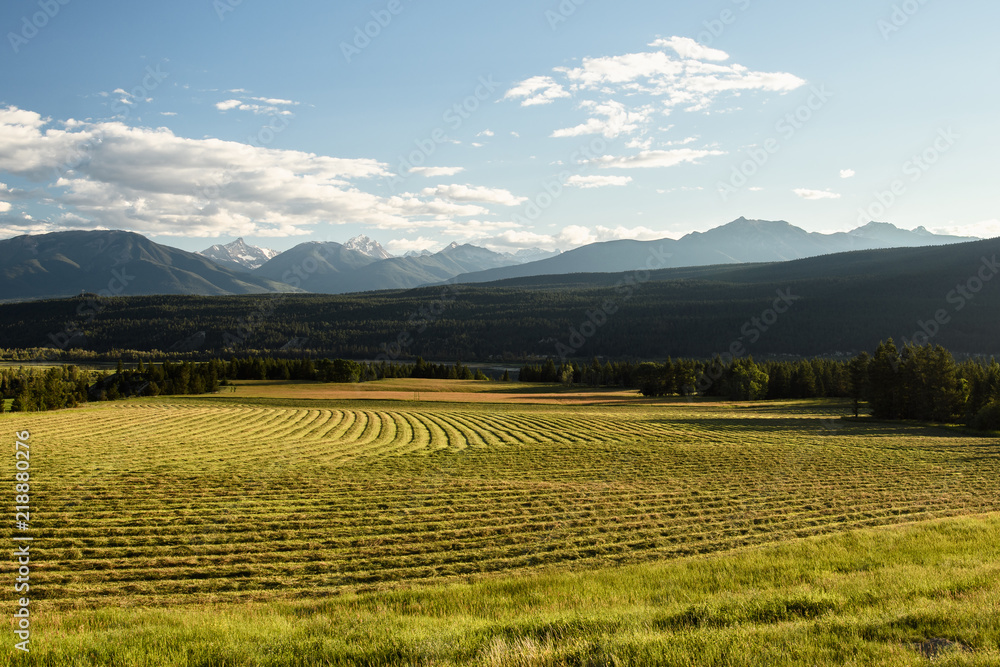 Hay field and Purcell Mountain Range at sunset in Canada