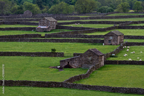 Gunnerside Downs, Yorkshire Dales, Great Britain's agricultural heritage photo