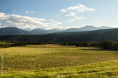 Hay field and Purcell Mountain Range at sunset in Canada © Tabor Chichakly