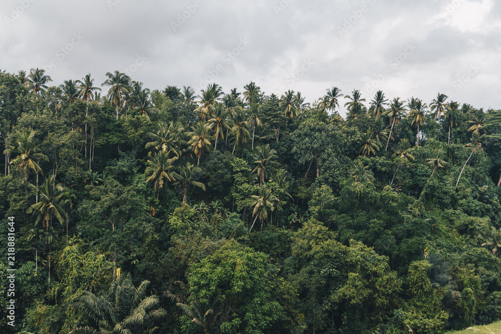 Bali  Ubud Ridge Walk