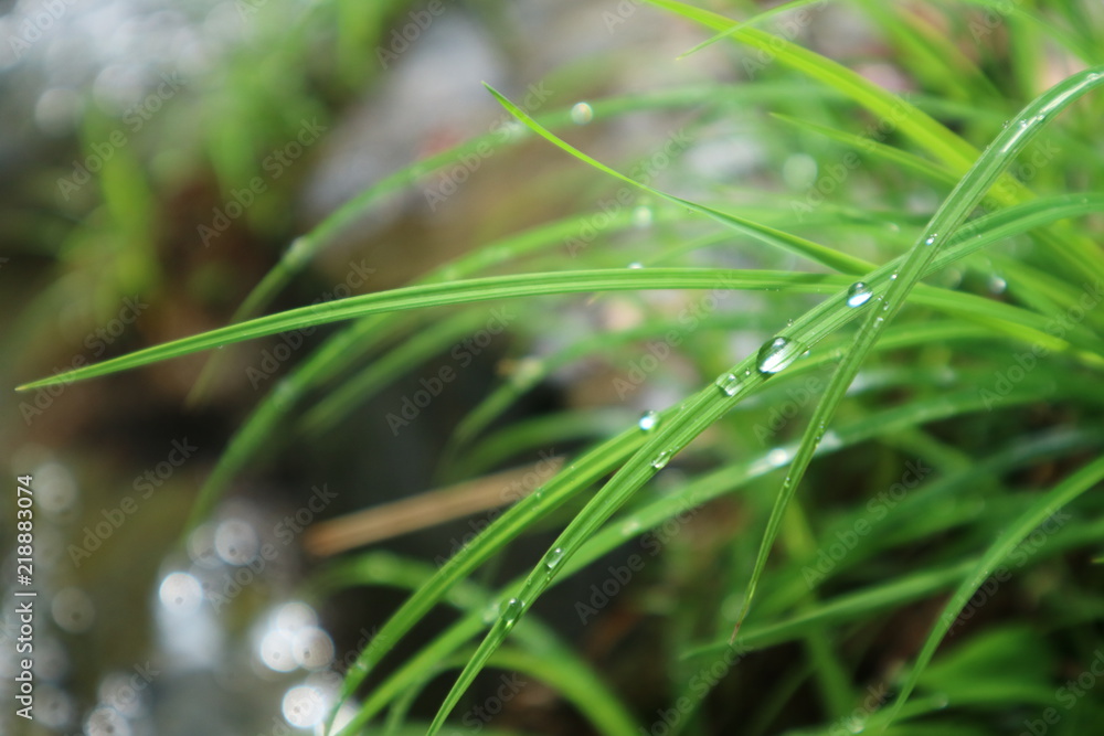 水滴 水滴
