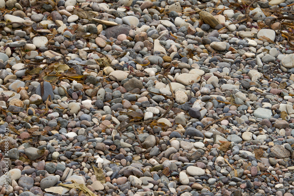 Pacific Ocean Shoreline Pacific Ocean Shoreline