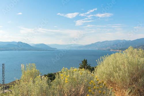 View of lake, mountains, and blue sky in summer with yellow flowers of rabbitbrush in foreground