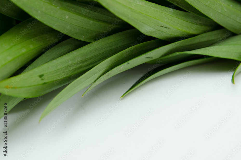 leaves from a lily, a beautiful yellow lily, a flower lies on a table, in the summer a flower called lily