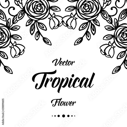 Vector tropical flower hand draw vector illustration