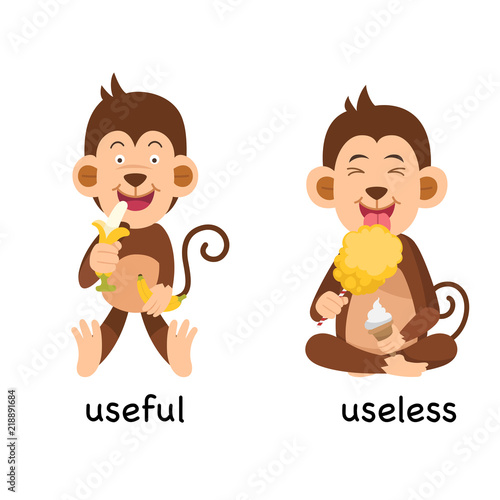 Opposite useful and useless vector illustration