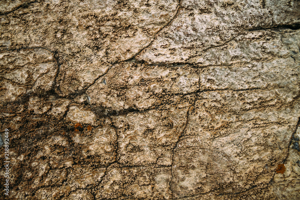 Marble untreated wall with irregularities and cracks Marble untreated wall with irregularities and cracks