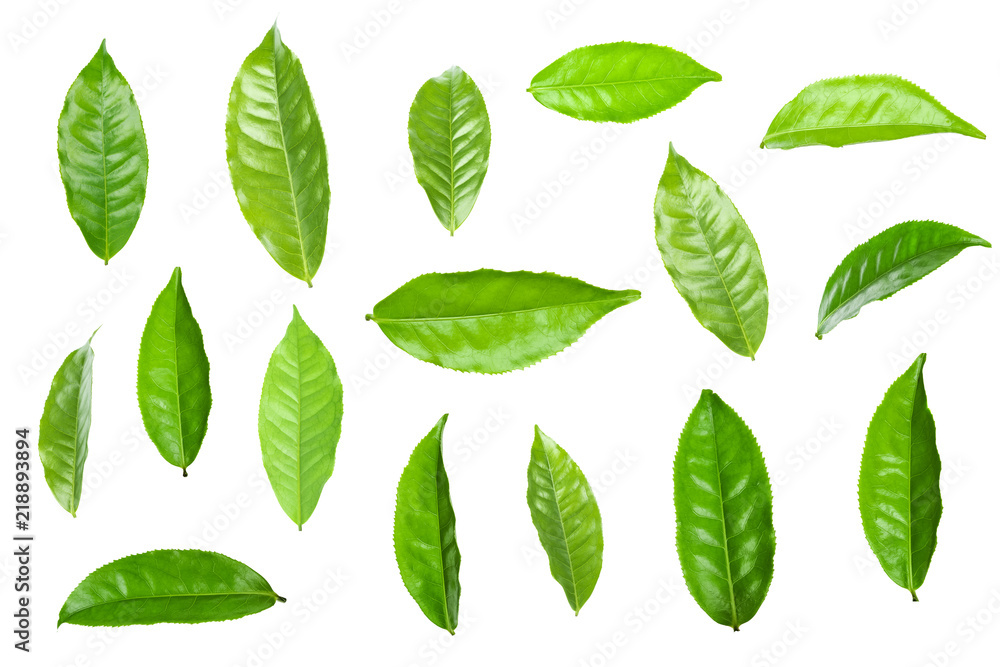 Green tea leaf isolated on white. Green tea leaf isolated on white.