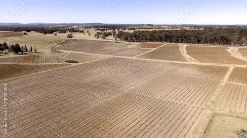 An aerial view of a dry vineyard in the Hunter Valley near the town of Pokolbin in New South Wales, Australia. photo